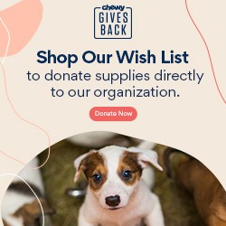 Chewy Gives Back logo which takes you to the Little Paws Doggie Rescue wishlist where items in need can be purchased for donation.