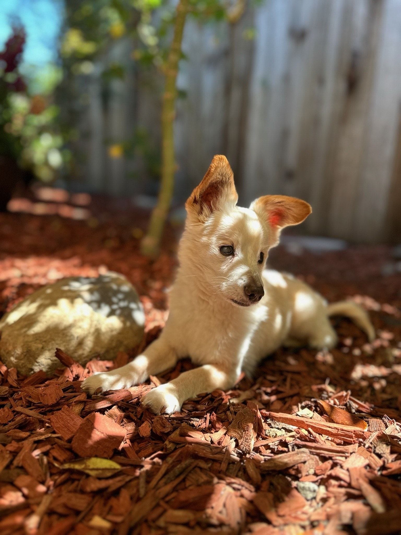 Helen in her new home outside